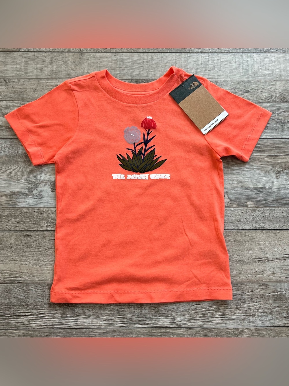 NWT The North Face Toddler Graphic Tee Size 5T